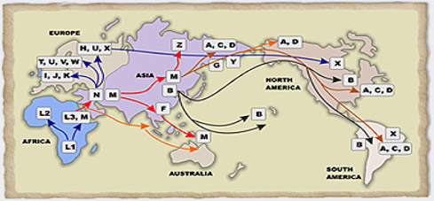 http://www.dnaancestors.com/images/maternal-dna-migration-route.jpg